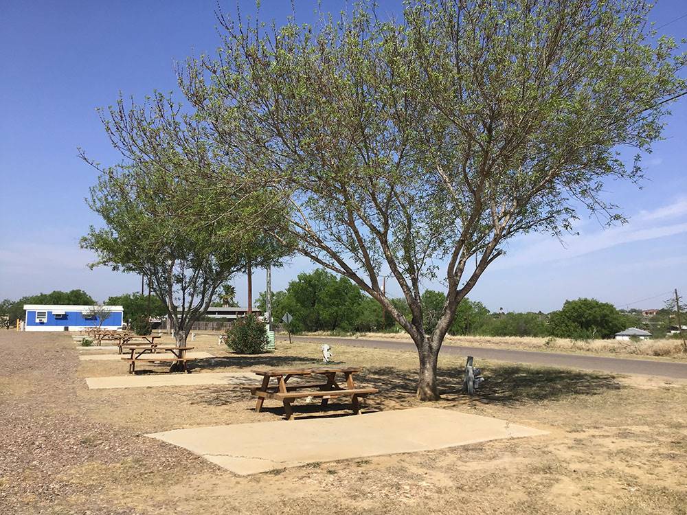 Site with picnic table and tree at Amigo Inn & RV Park