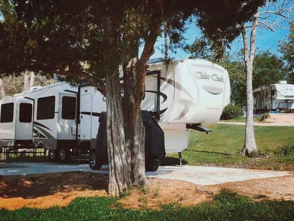 Shady RV site at Rio RV Park