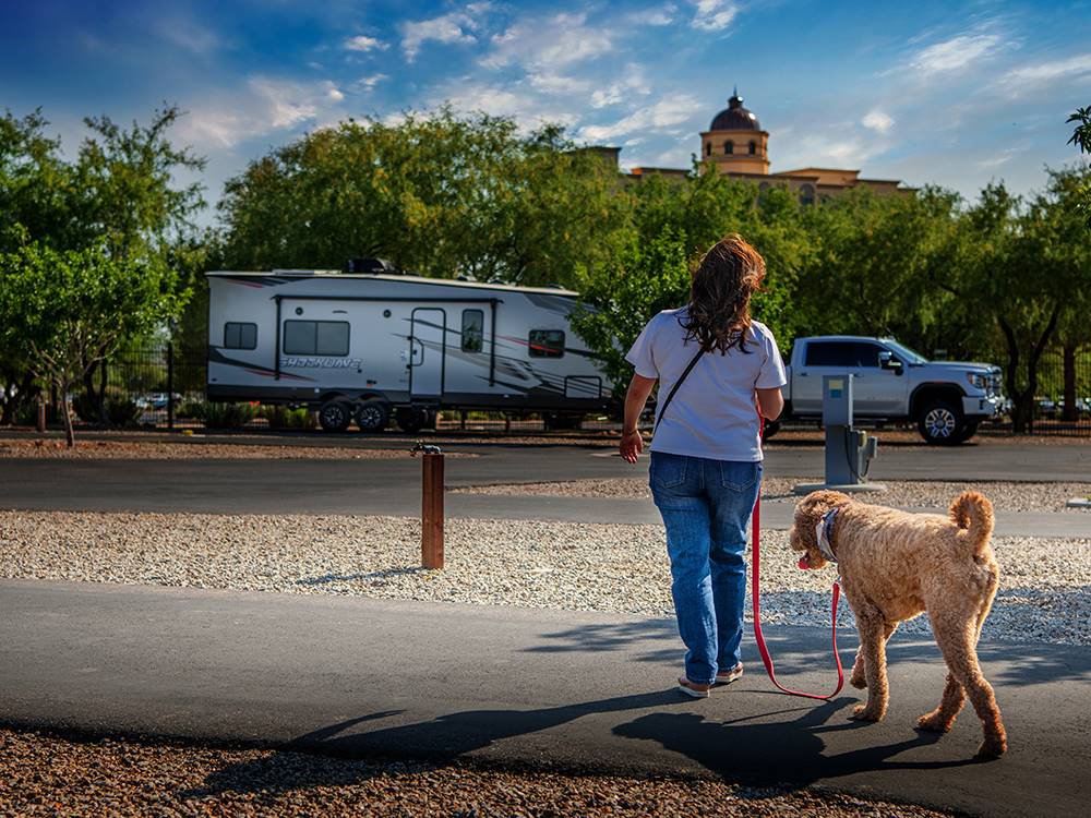 Person walking a brown dog at Casino Del Sol RV Park