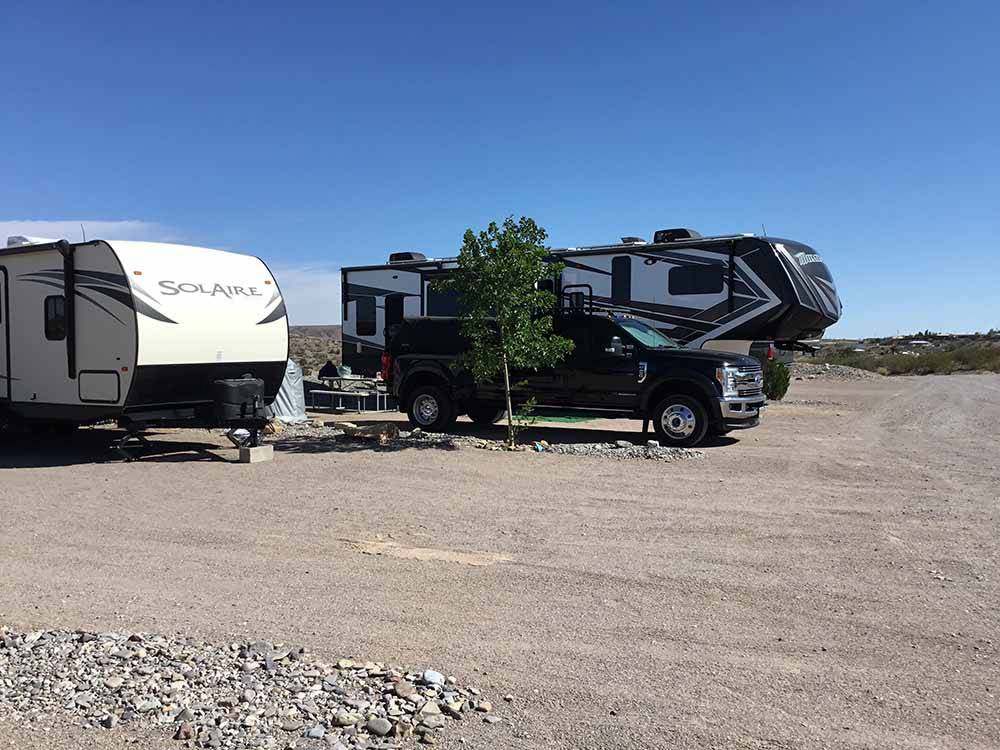 RVs in campsites with trees at DESERT VIEW RV PARK