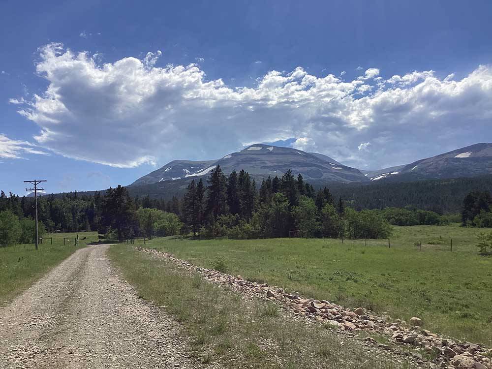 Gravel road leads toward forest and mountains at RED EAGLE CAMPGROUND