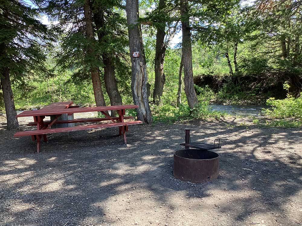Picnic table and fire pit at RED EAGLE CAMPGROUND