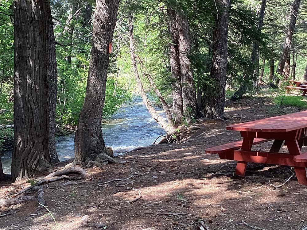 Picnic table in clearing on the banks of a stream at RED EAGLE CAMPGROUND