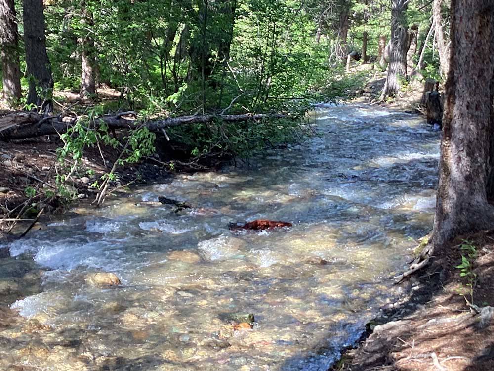 Stream churns over rocks at RED EAGLE CAMPGROUND