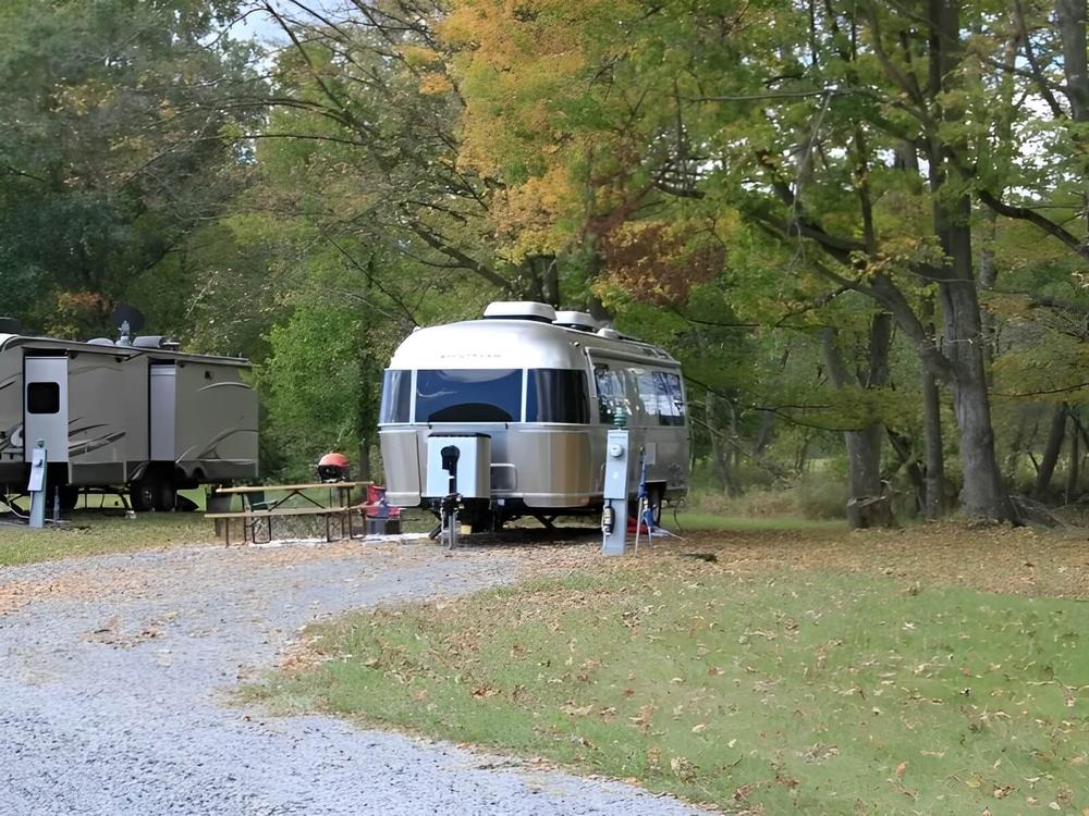 An Airstream trailer parked in a shady site