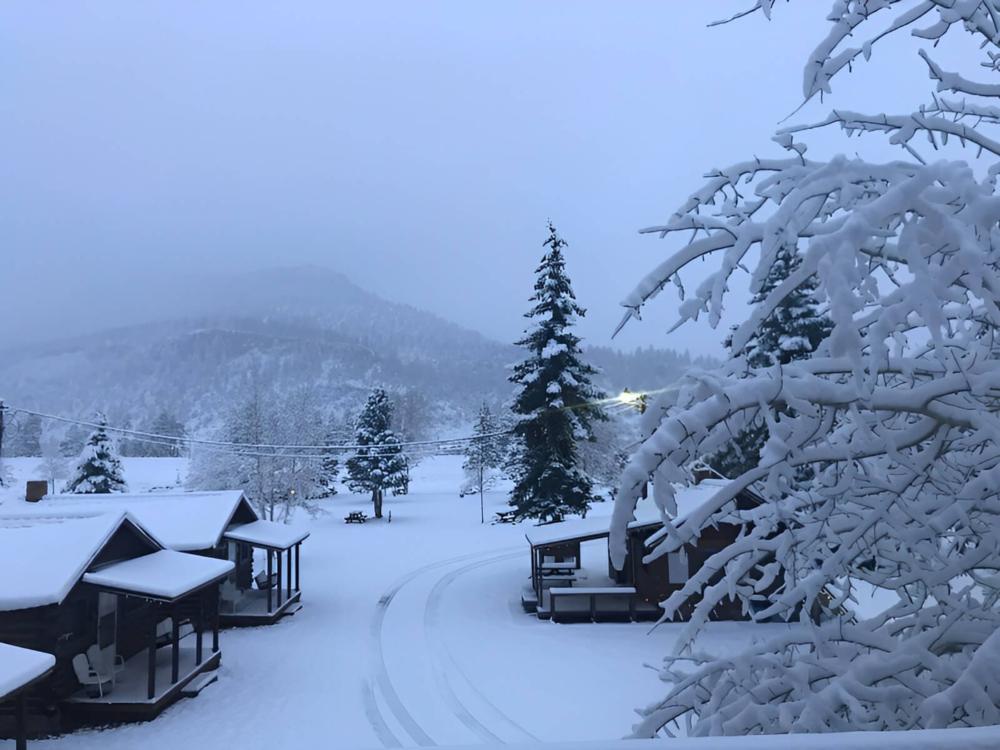 The cabins covered in snow