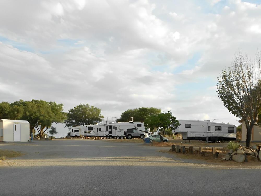 RVs in campsites