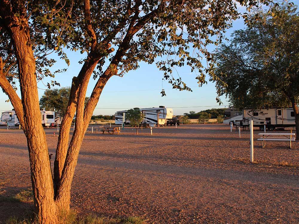Travel trailers parked in gravel sites at BLAZE-IN-SADDLE RV PARK