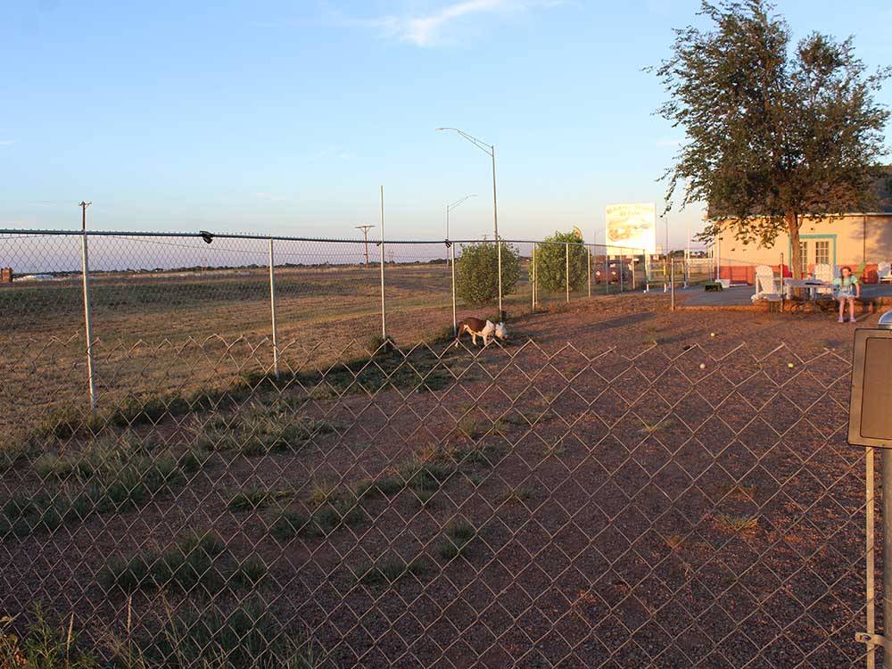 The fenced in dog area at BLAZE-IN-SADDLE RV PARK