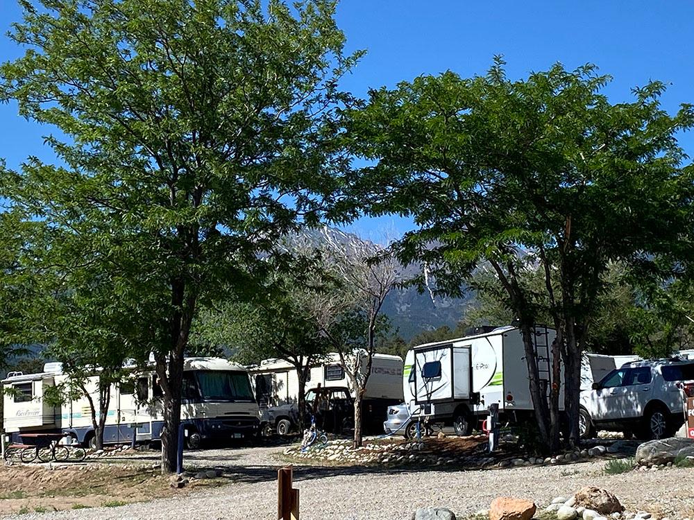 Motorhomes and trailers parked in sites at BLACK BEAR RETREAT