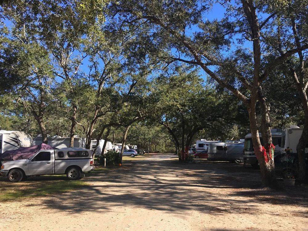 RVs in shady sites at Panacea RV Park