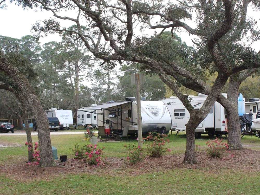 RVs at site near flowered landscaping at Panacea RV Park