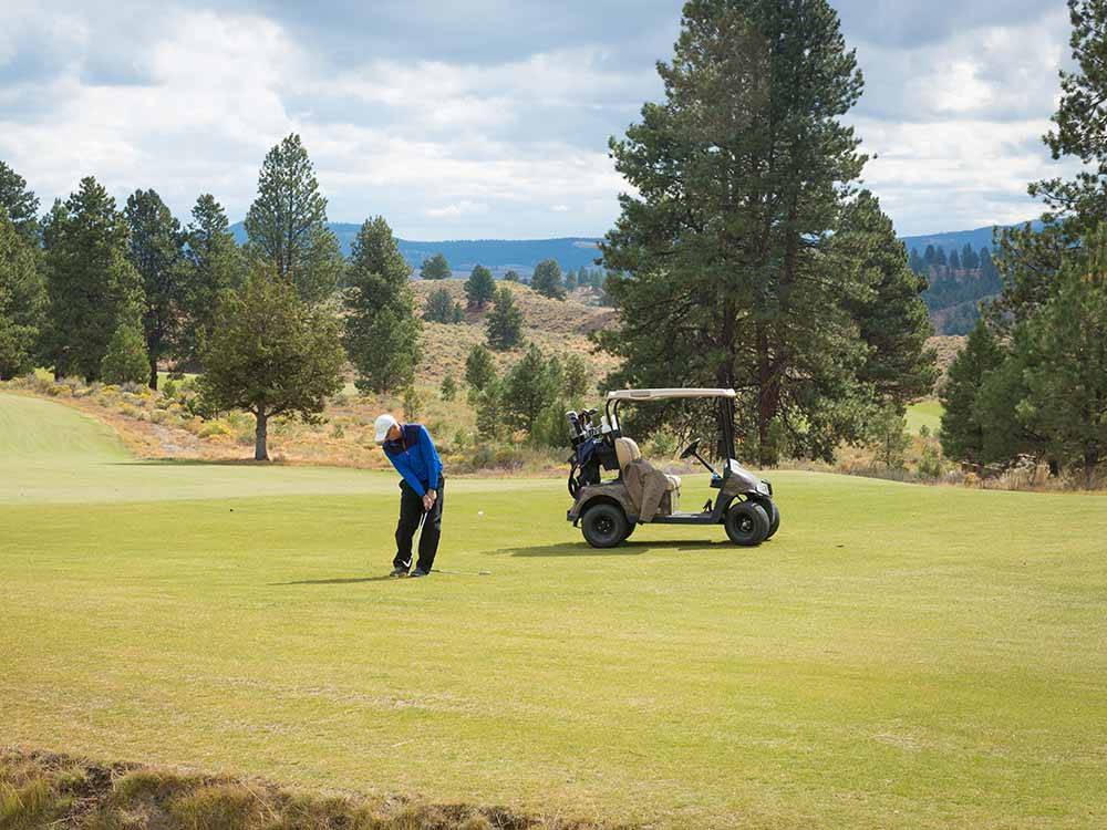 A man golfing with his cart by his side at THE RETREAT, LINKS & SPA AT SILVIES VALLEY RANCH