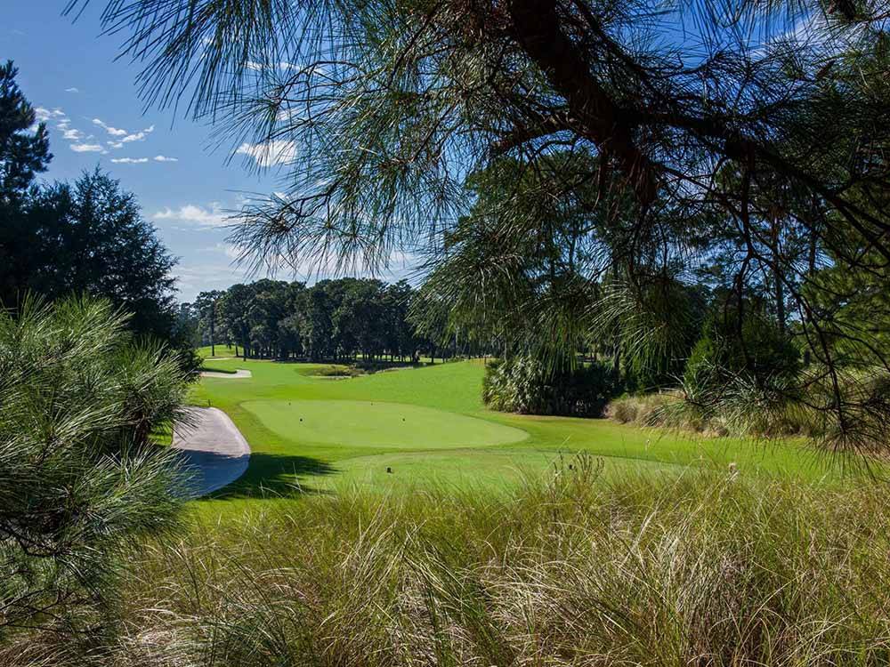 The beautiful golf course at HILTON HEAD NATIONAL RV RESORT