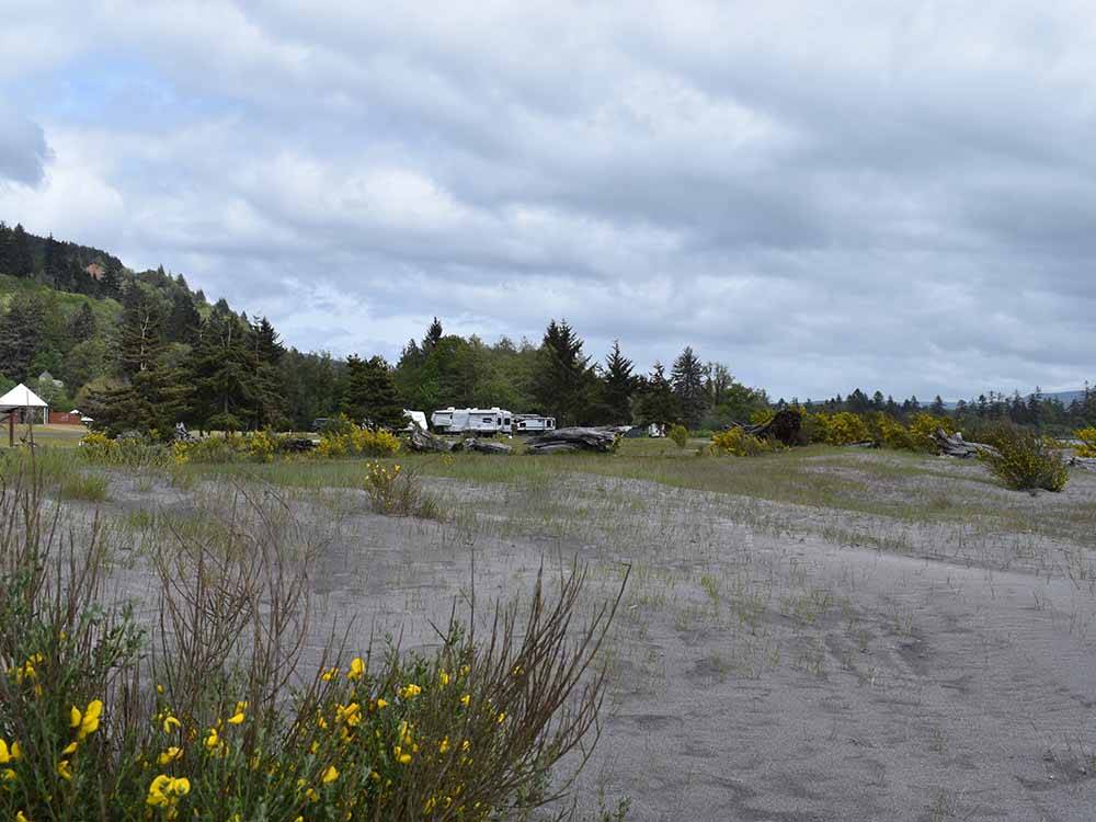 RV sites by the sand at VISTA PARK