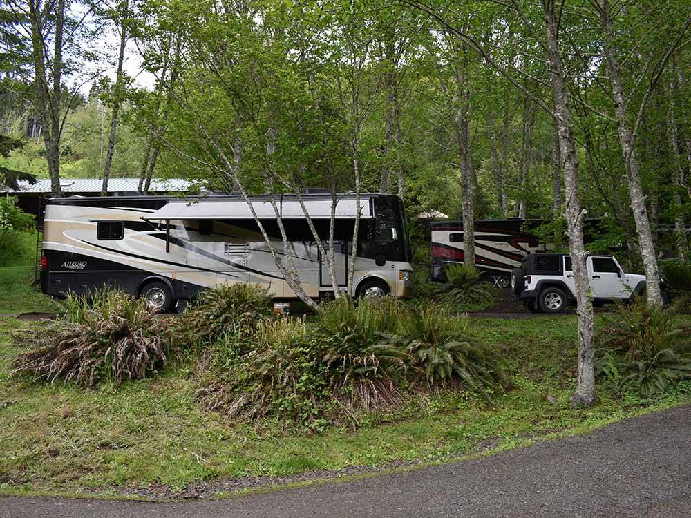 A row of RV sites under the trees at VISTA PARK