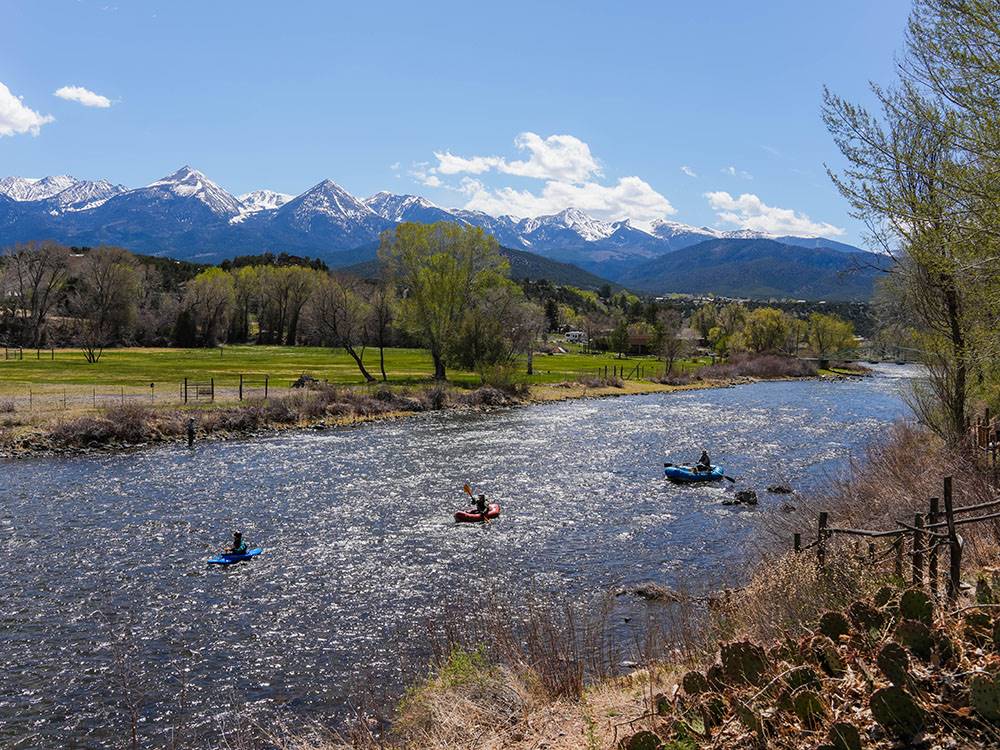 People kayaking in the river