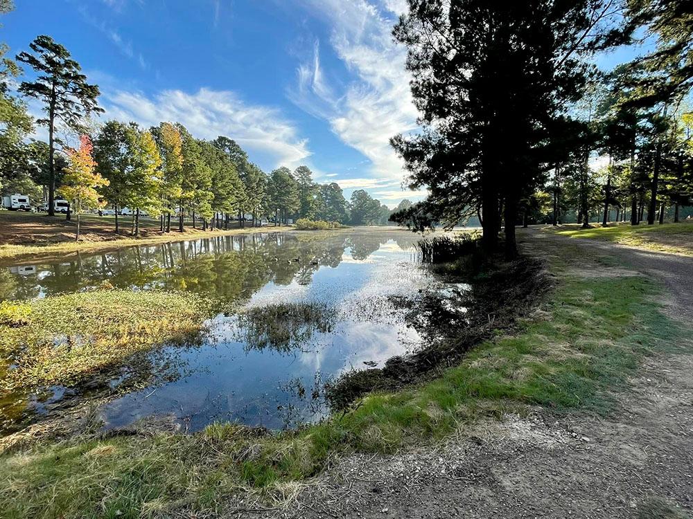 A motorhome and fifth wheel under the covered parking at FOREST LAKE RV PARK & EVENTS