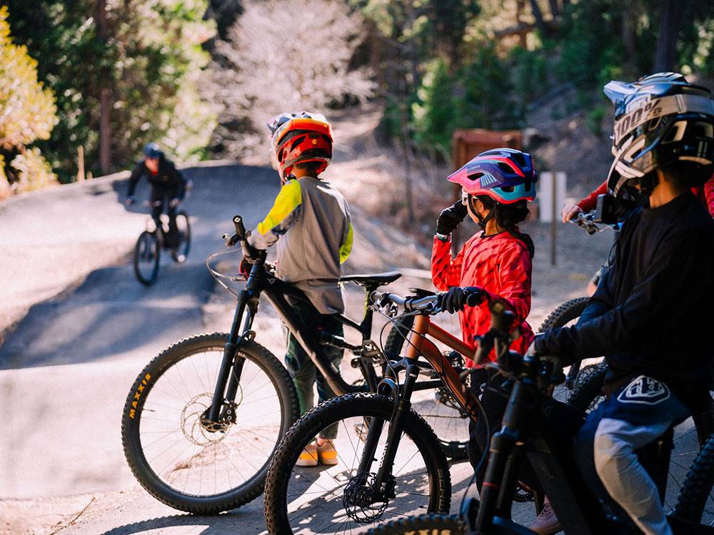Kids on mountain bikes