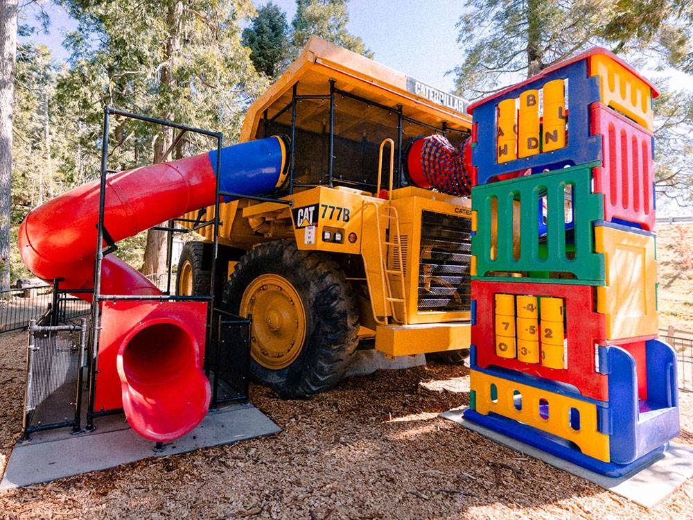 The playground