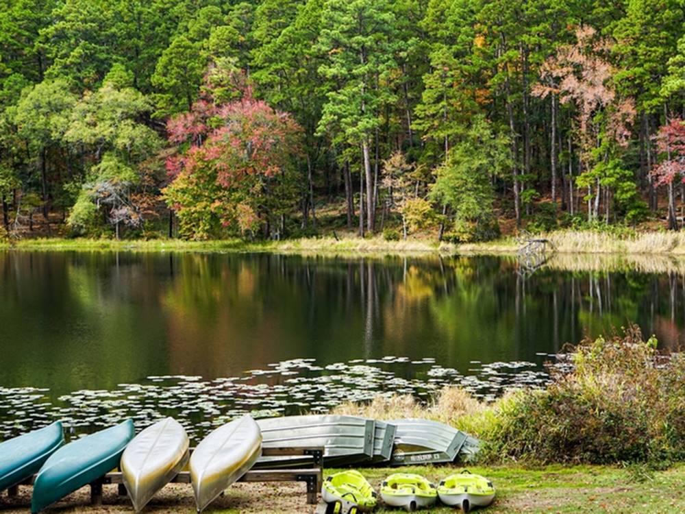 Canoes lined up at the edge of a lake