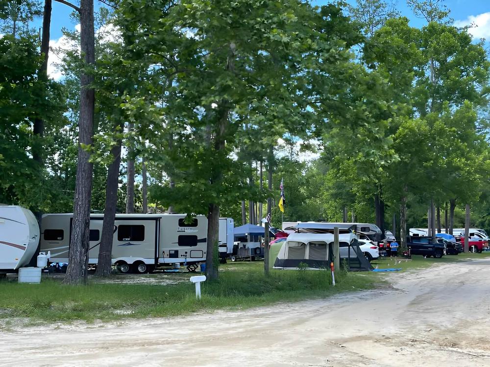 RV sites among trees