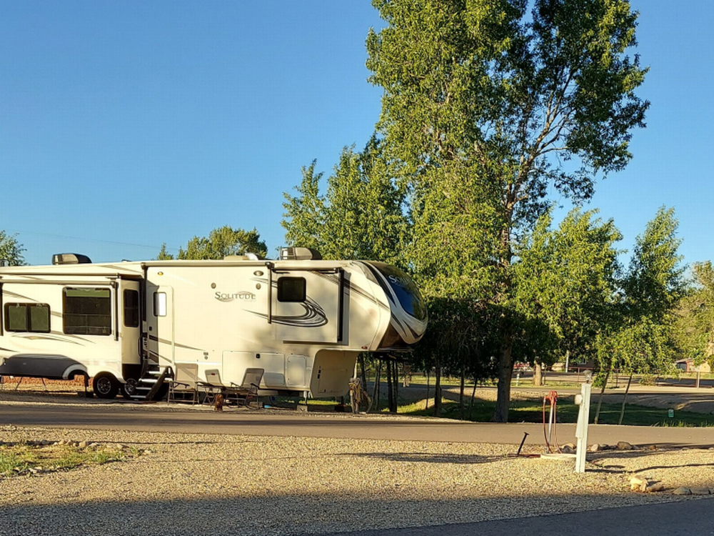 Shady sites with trees