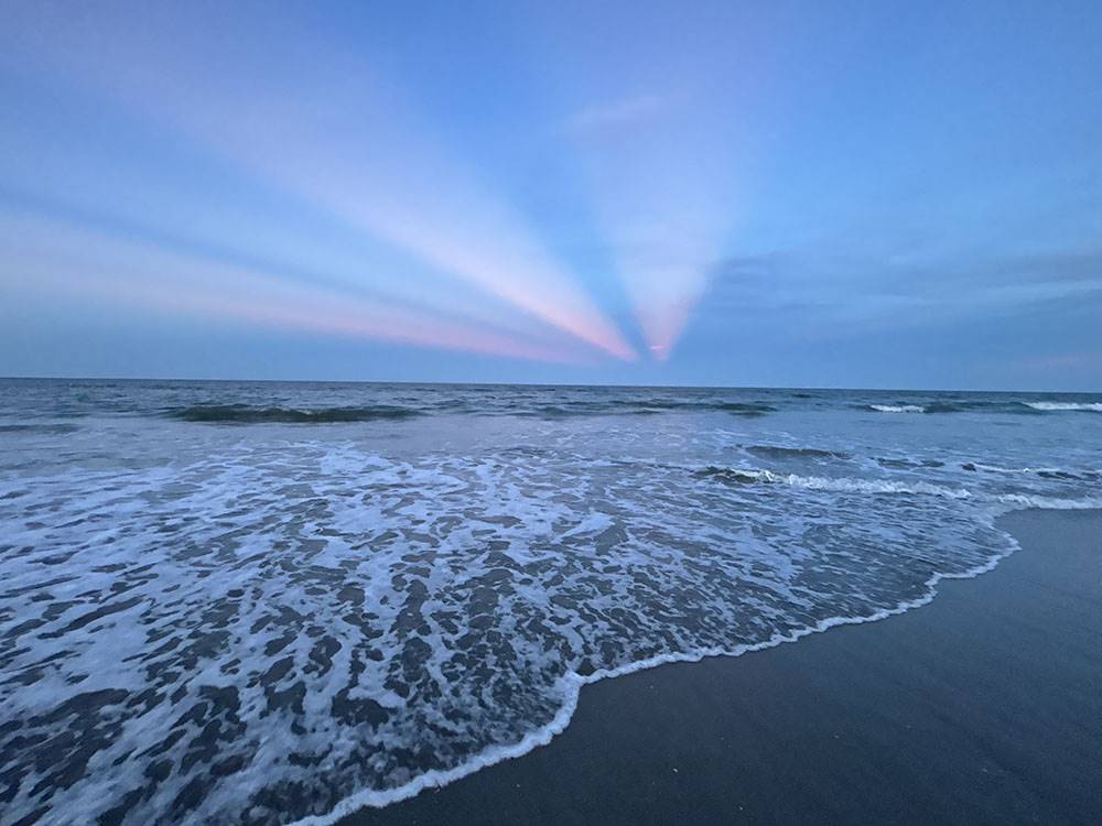 The shore at sunset