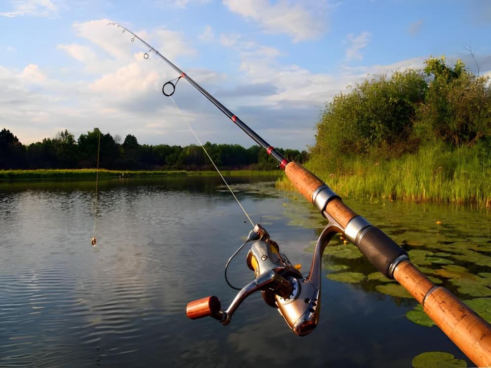 A fishing pole
