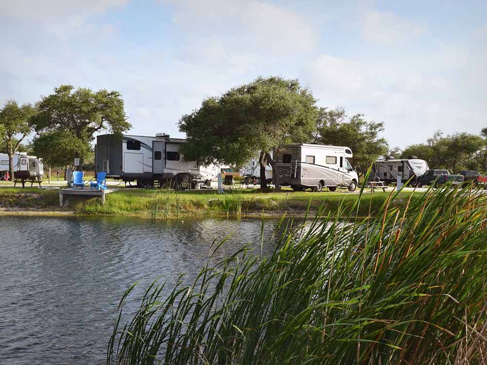 Weeds in the lake with RVs in the background at QUILLY'S BIG FISH RV PARK