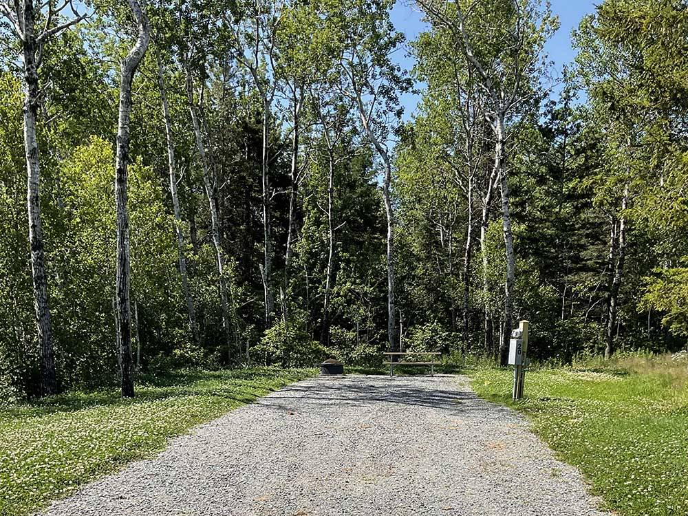 RV site near wooded area at WEST BAY ACADIA RV CAMPGROUND