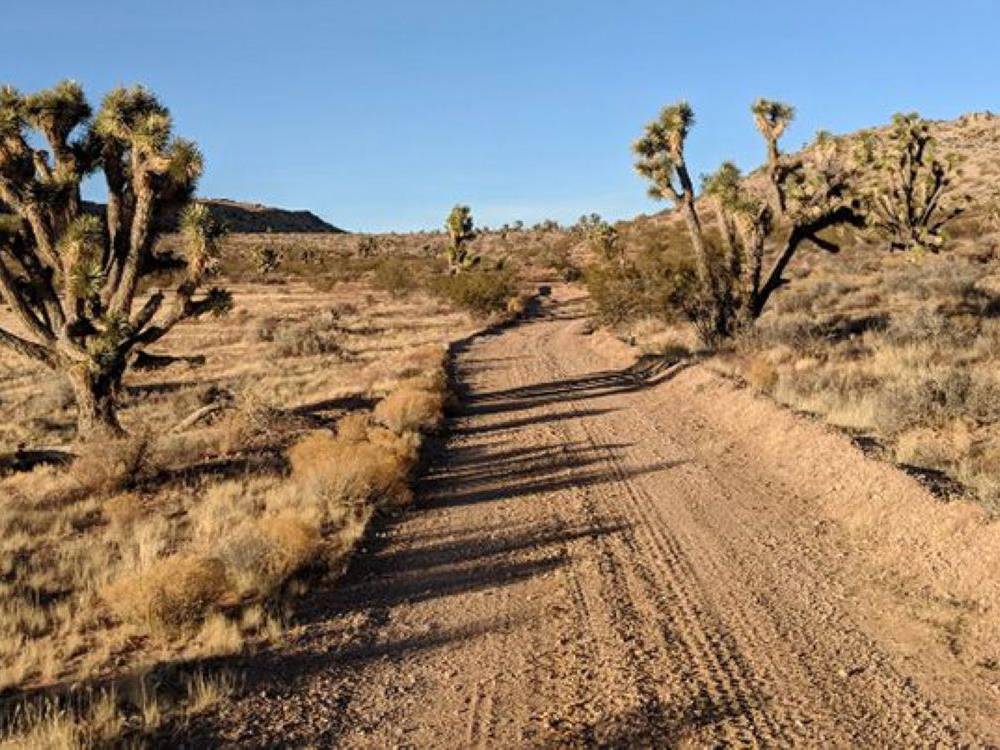 Desert road