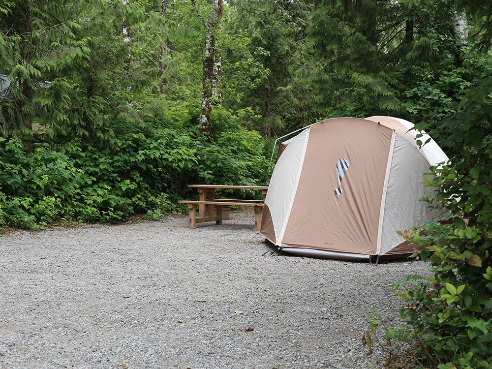 A small beige tent and picnic bench at SURF GROVE CAMPGROUND