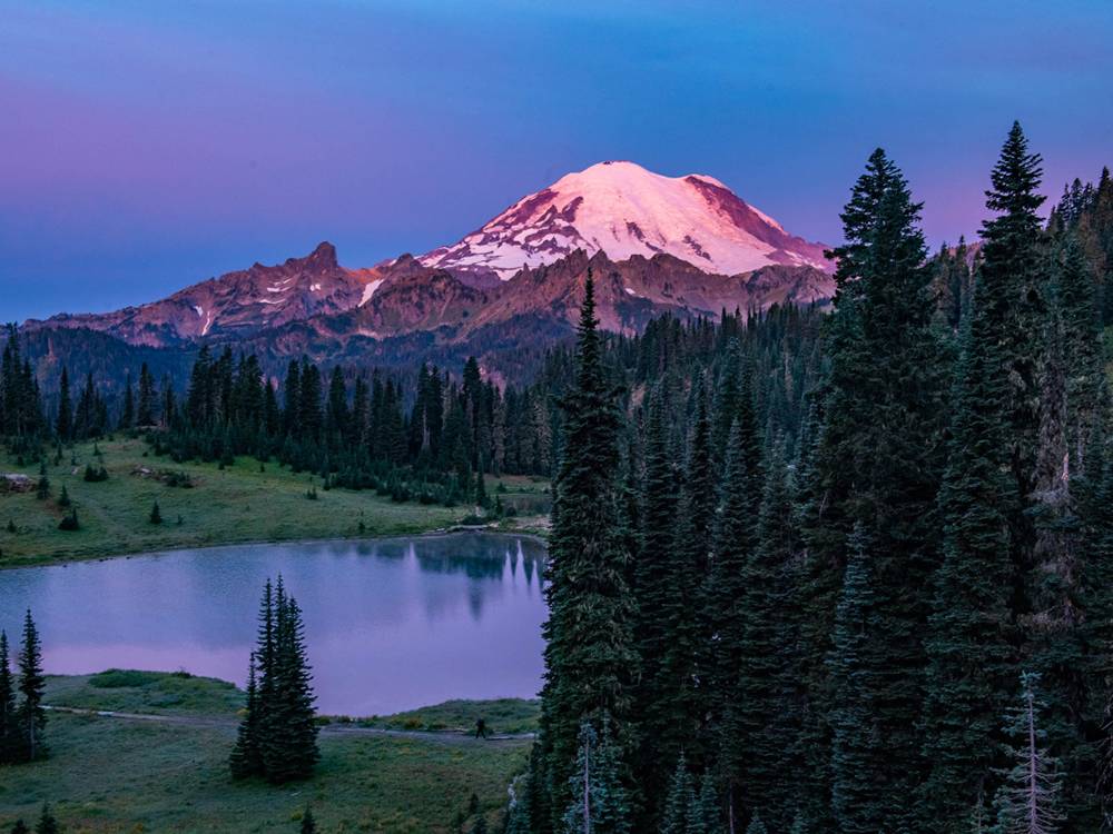 Mt. Rainier