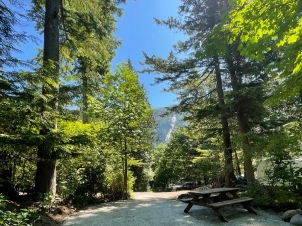 A gravel site with picnic table at Klahanie Campground