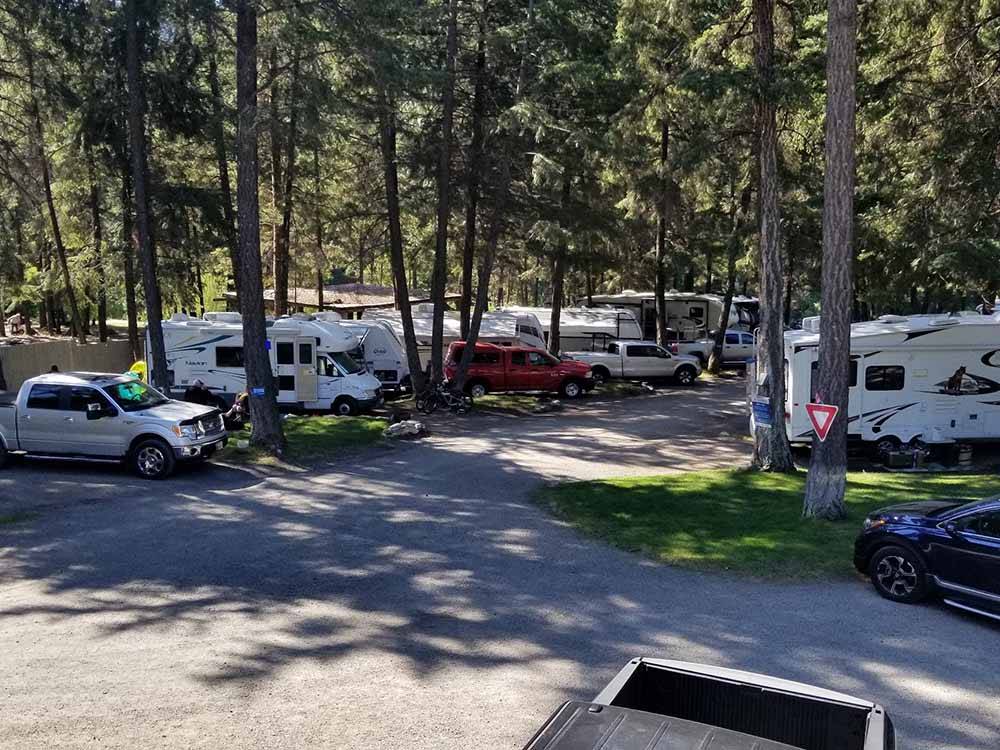 Campers in campsites at RIVERHAVEN RV PARK & MOTEL