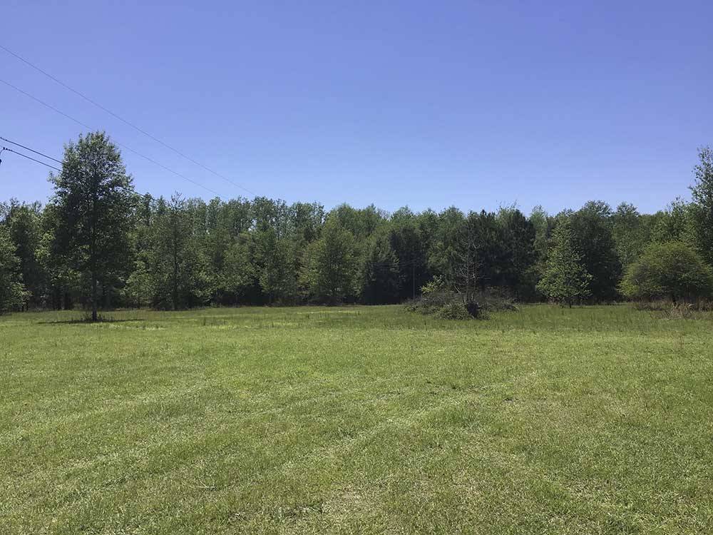 A large grassy field with a forest at DREAMLAND RV PARKS