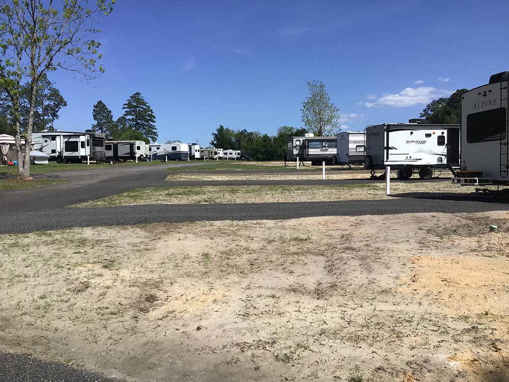 Rows of trailers parked in paved RV sites at PEBBLE HILL RV RESORT