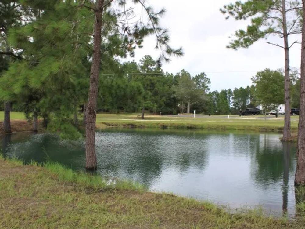 Waterfront at Pebble Hill RV Resort