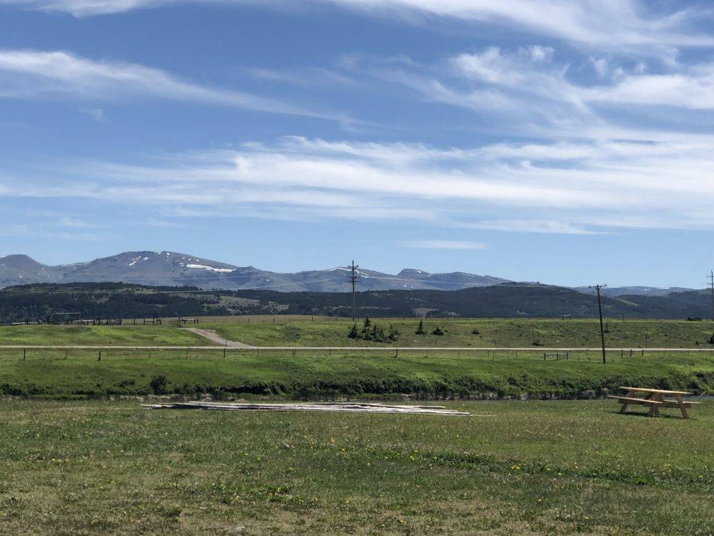 View of the mountains from a grassy field at Buffalo Calf Campground