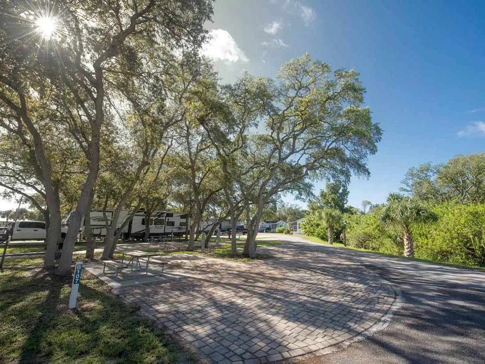 RV lot under the trees at OCEAN GROVE RV RESORT