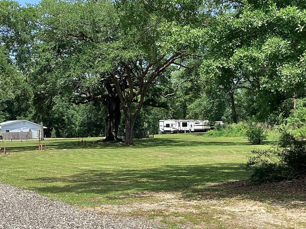 Beautiful grassy space at Creekside Campground