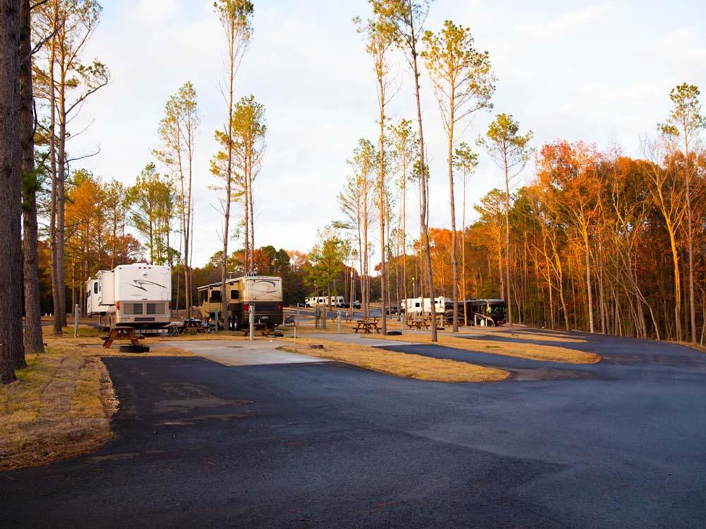 RVs parked on-site on sunny day at THE PINES RV  CABIN RESORT