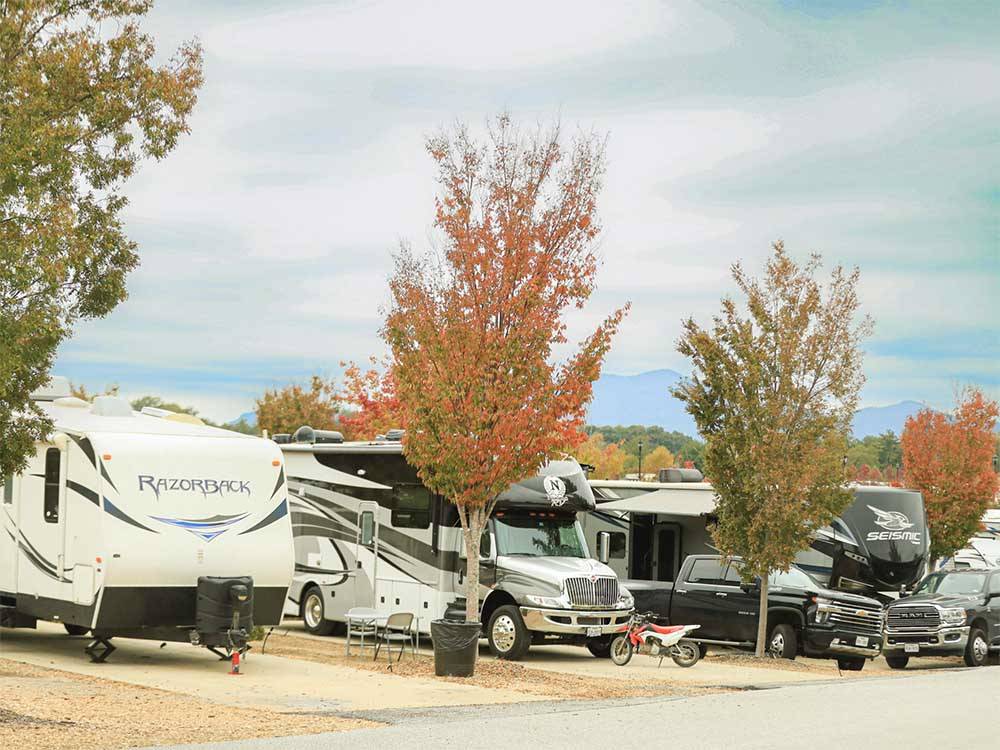 Trailers and a Class B parked in paved sites at TRYON INTERNATIONAL RV RESORT