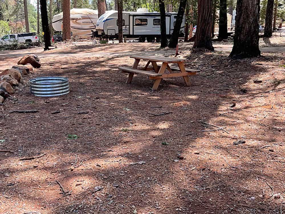 Picnic table and fire pit near RV at PARADISE PINES RV PARK AND CAMPGROUND