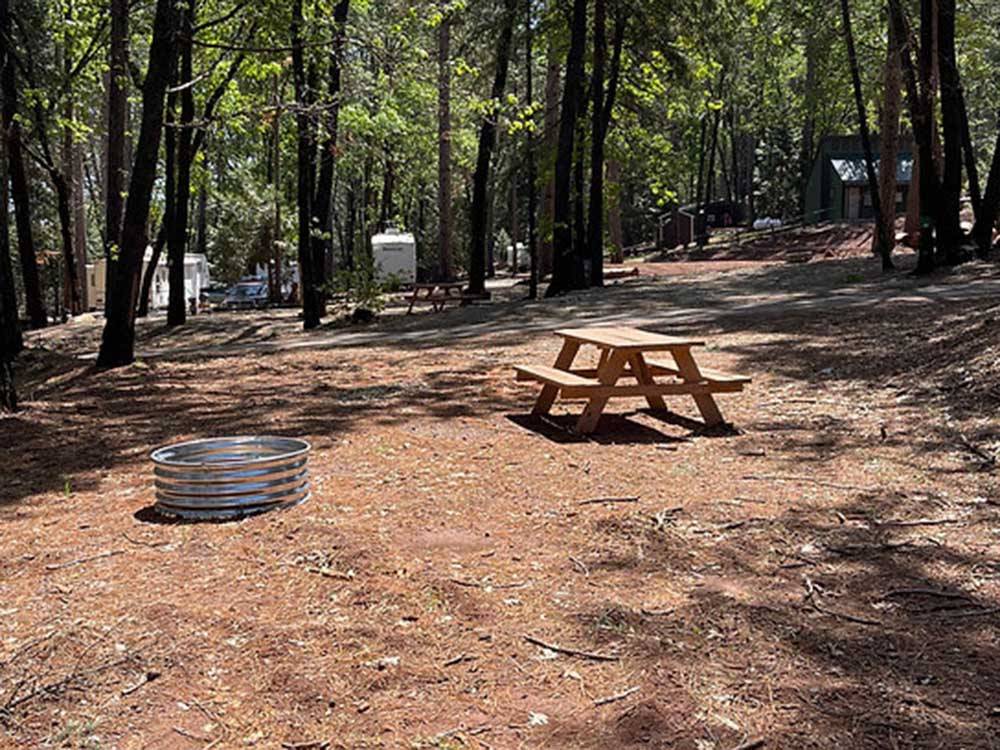 Large camping area with picnic table and fire pit at PARADISE PINES RV PARK AND CAMPGROUND