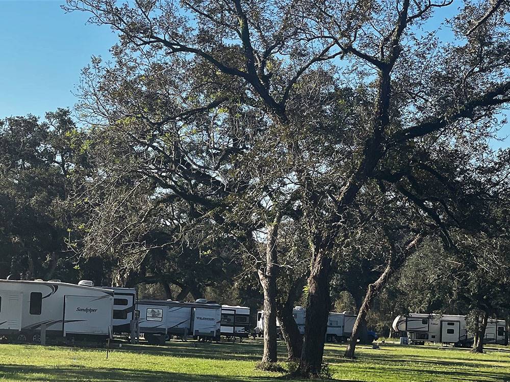 RV sites with tall trees surrounding at SUGAR VALLEY RV RESORT BY RJOURNEY