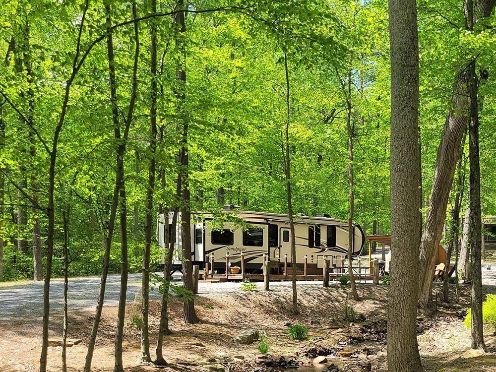 An RV site surrounded by tall trees at JAMES CREEK RV RESORT BY RJOURNEY