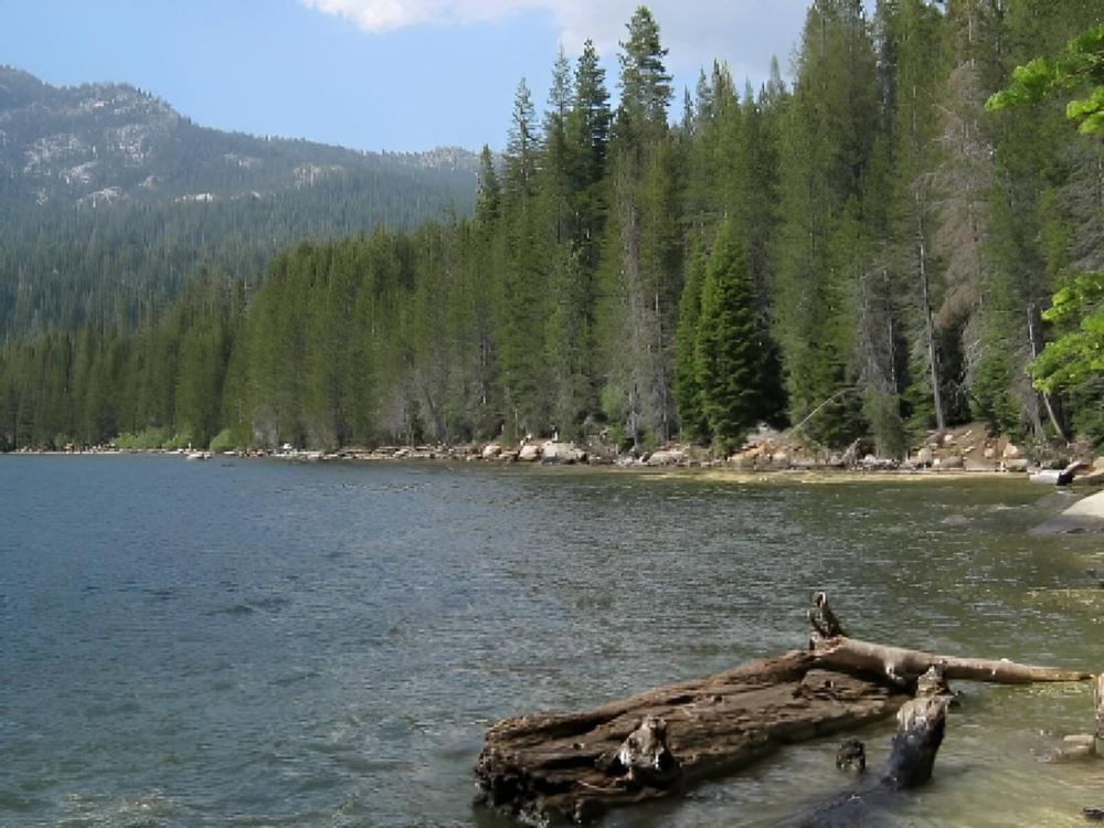 The lake surrounded by forest