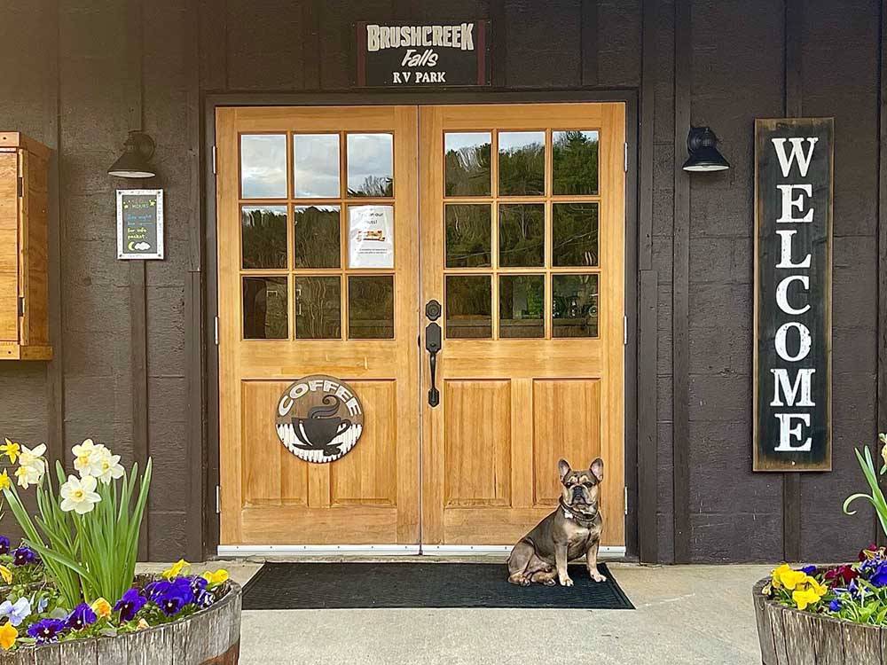 Dog guarding front entrance of main office at BRUSHCREEK FALLS RV RESORT